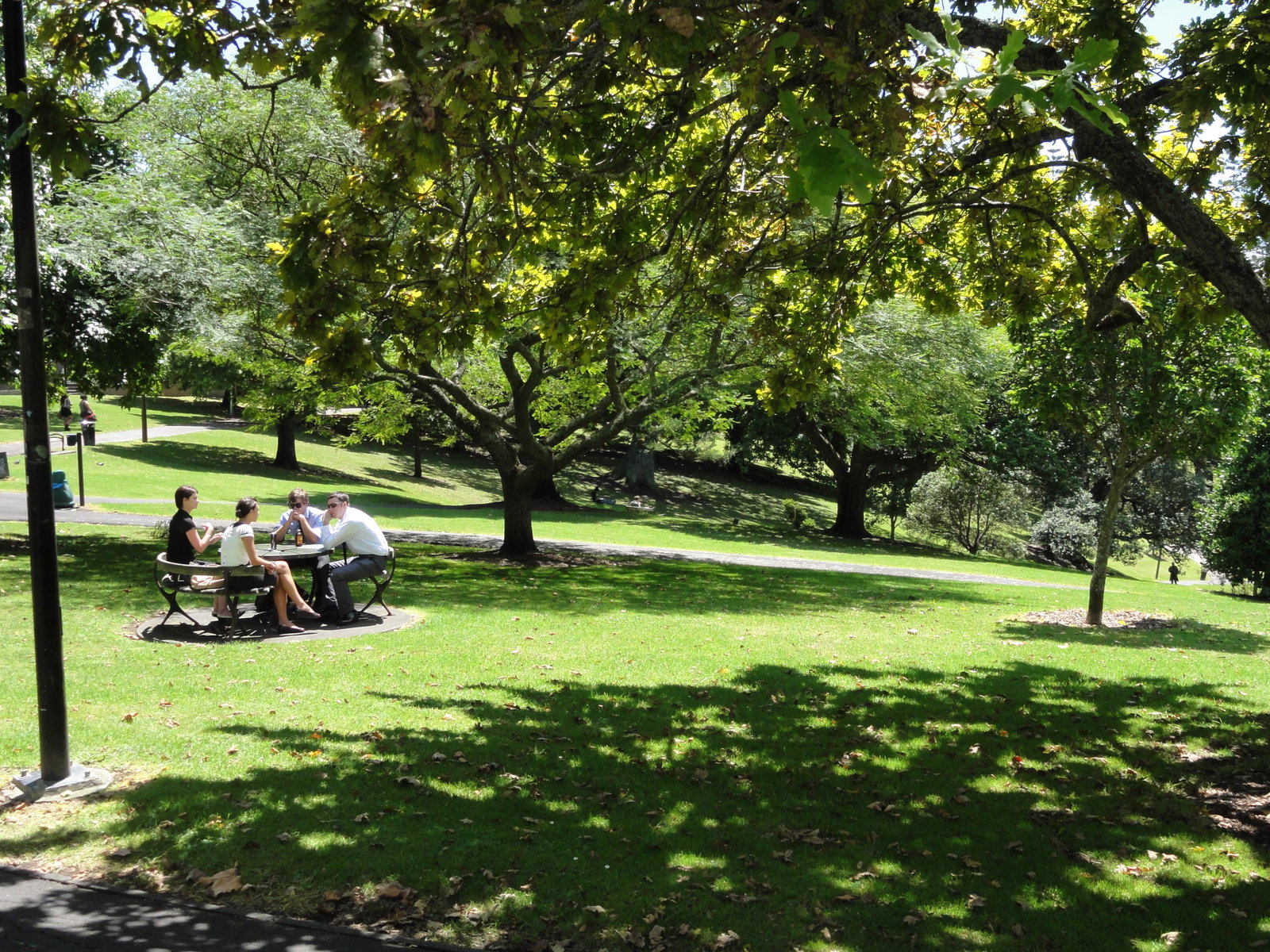 Top 5 things to do in the New Zealand summer podcast 5 NZ park
