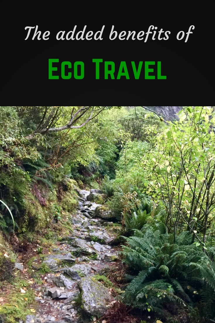 Eco travel pinterest pin