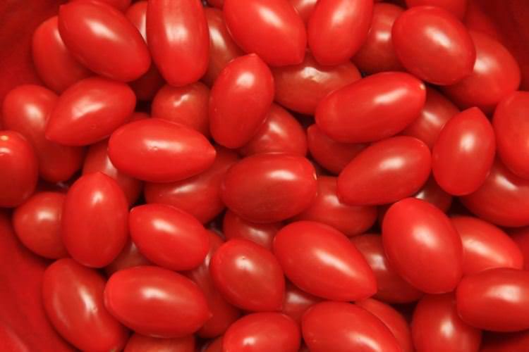 Tomato madness podcast: How to celebrate La Tomatina, Spain 2 tomatoes - Tomato madness podcast: How to celebrate La Tomatina, Spain