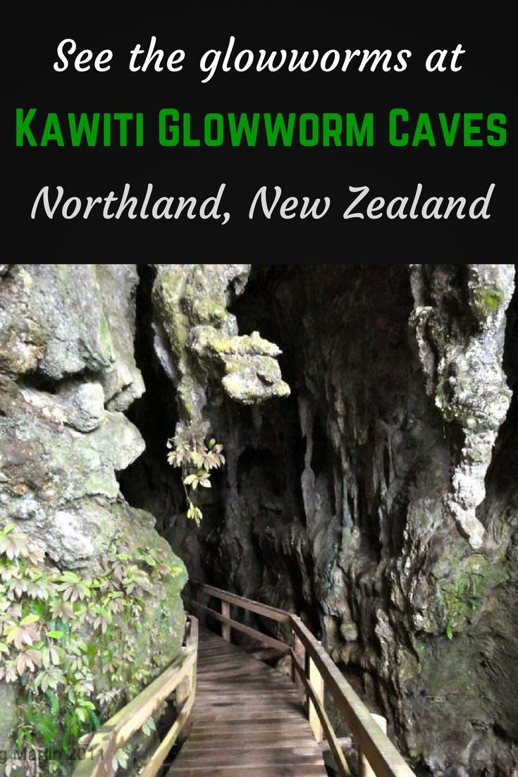 Kawiti Glowworm Caves, Northland New Zealand 2 Kawiti glowworm caves Pinterest pin