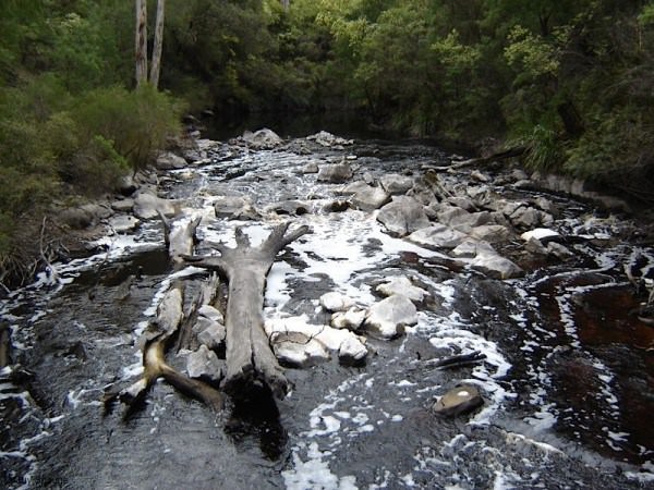 Bibbulmun track Australia 01photo 3 - Australia's Bibbulmun Track in eight amazing photos