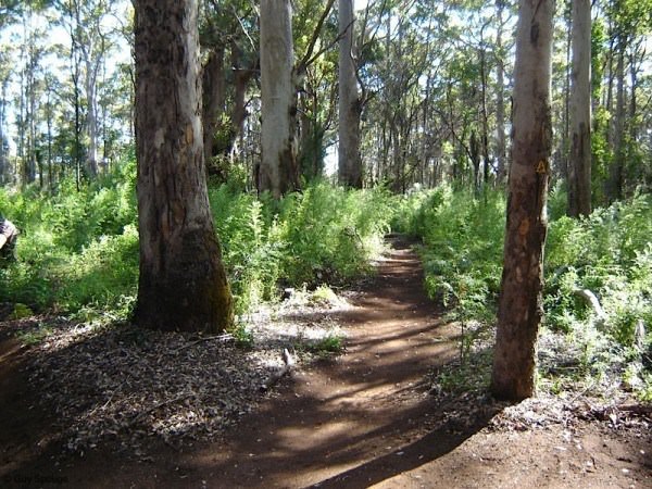 Ten more photos from the Bibbulmun Track 10 Ready to hit the track yourself?