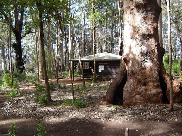 Bibbulmun track Australia 04photo 2 - Australia's Bibbulmun Track in eight amazing photos