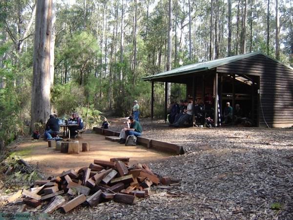 Ten more photos from the Bibbulmun Track 5 Hikers' camp amongst the gums.