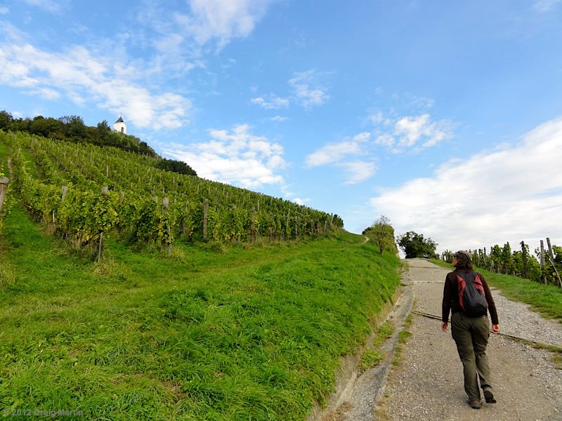 Hiking piramide hill maribor slovenia