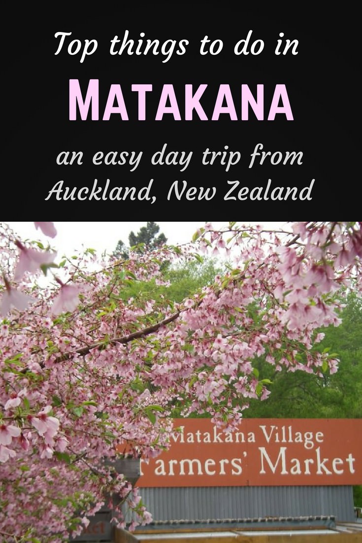Day trip from Auckland: Matakana, New Zealand 5 Top things to do in Matakana Pinterest pin