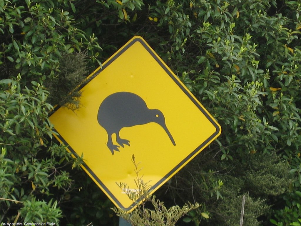 Important things to know about New Zealand