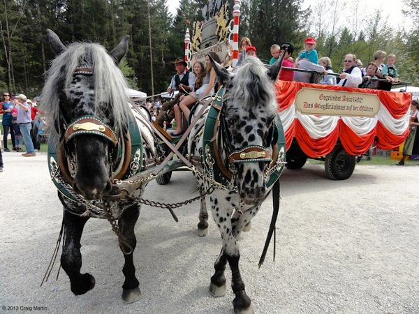 horses-open-air-museum-may-1-salzburg.jpg Horse and cart taking families around the large park