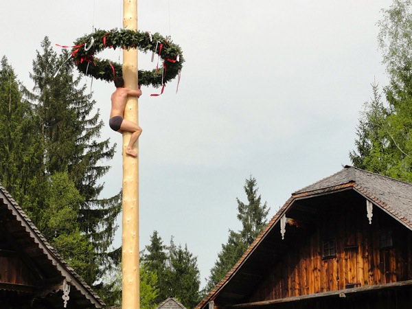 successful-maypole-attempt-open-air-museum-may-1-salzburg.jpg Most successful attempts were done with few clothes