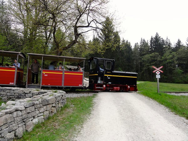 train-engine-open-air-museum-may-1-salzburg.jpg If the horse and cart doesn't work for you, try the train.