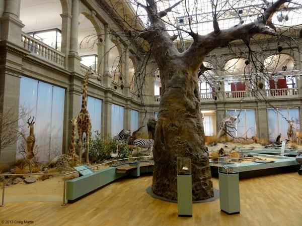 Zoological museum...