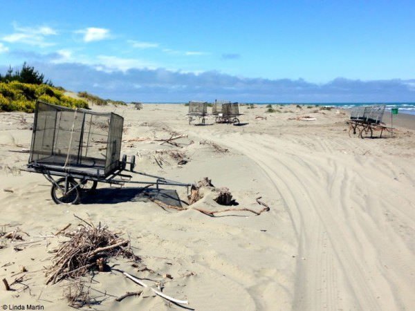 Beach in Kaiapoi, New Zealand