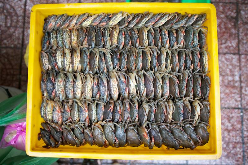 Fish at the Bến Th&agrave;nh Market.