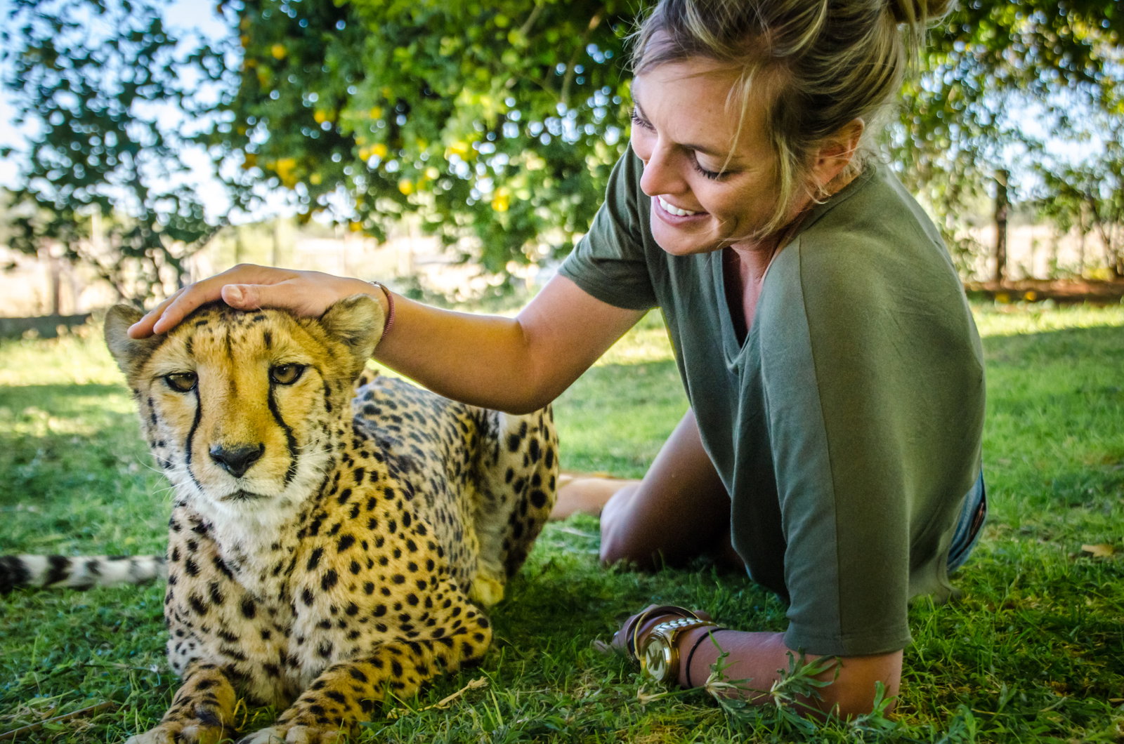 Getting Stamped - Safari Shots