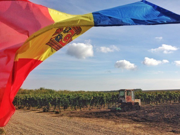 2015: A year of indie travel 9 The Moldovan flag flies over the Et Cetera vineyard.