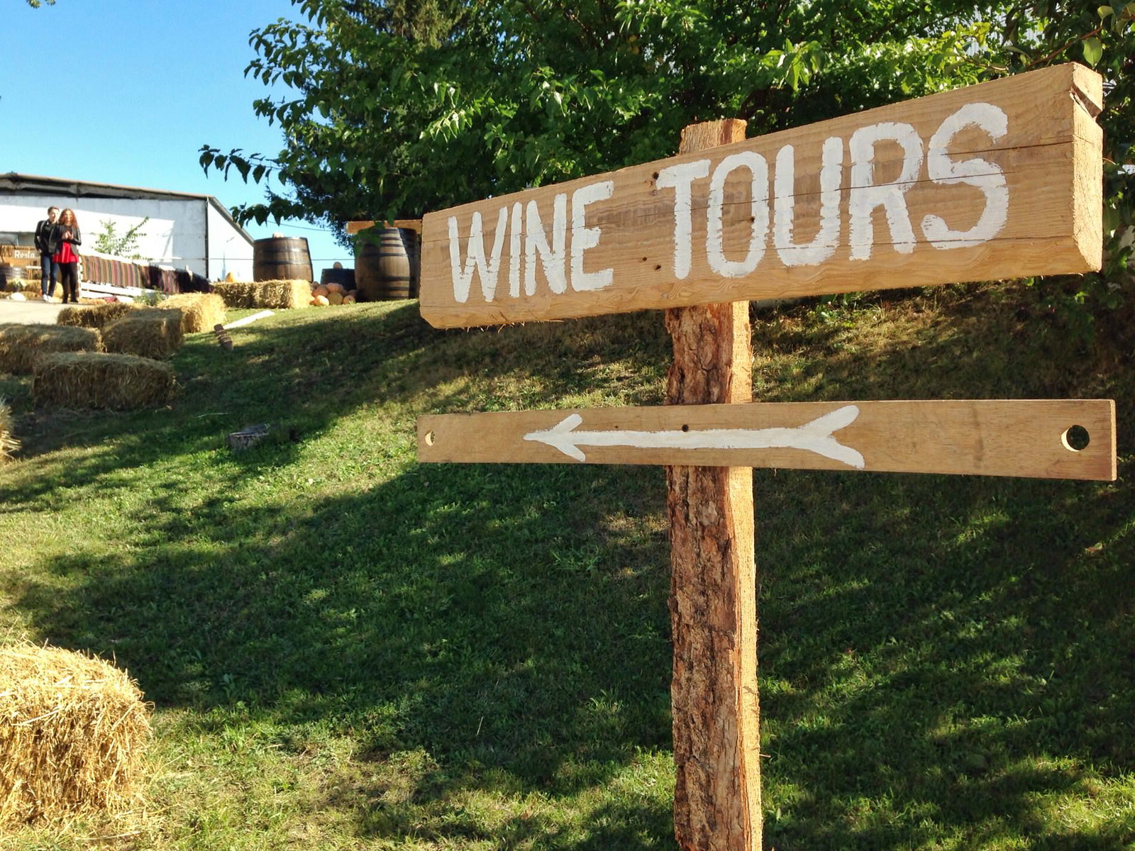 22+ things you wanted to know about Moldova 2 You will see English on some signs, like this one at Asconi Winery.