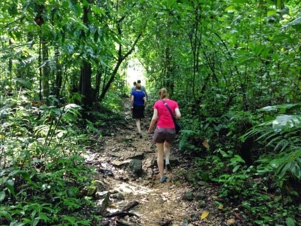 Jungle tour in Palenque Mexico.