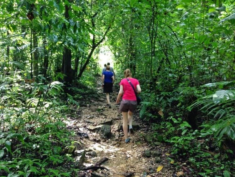 Jungle tour in Palenque Mexico.