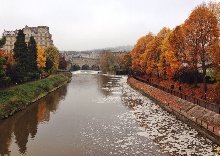 Bath trees and river