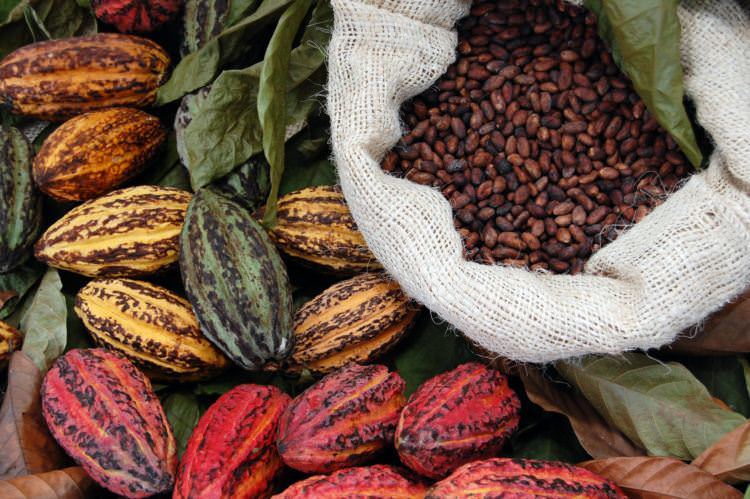 AdobeStock 11160772Ecuador - Ecuador travel