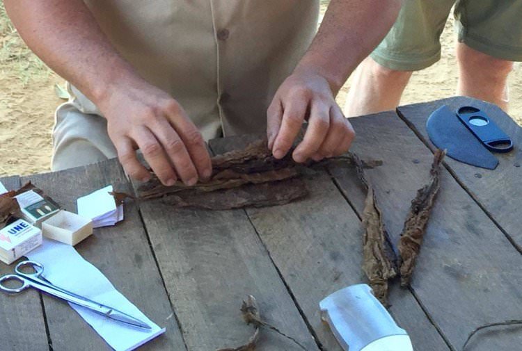 Rum, cigars and classic cars: the Cuba podcast 7 A tobacco farm in Viñales, Cuba.