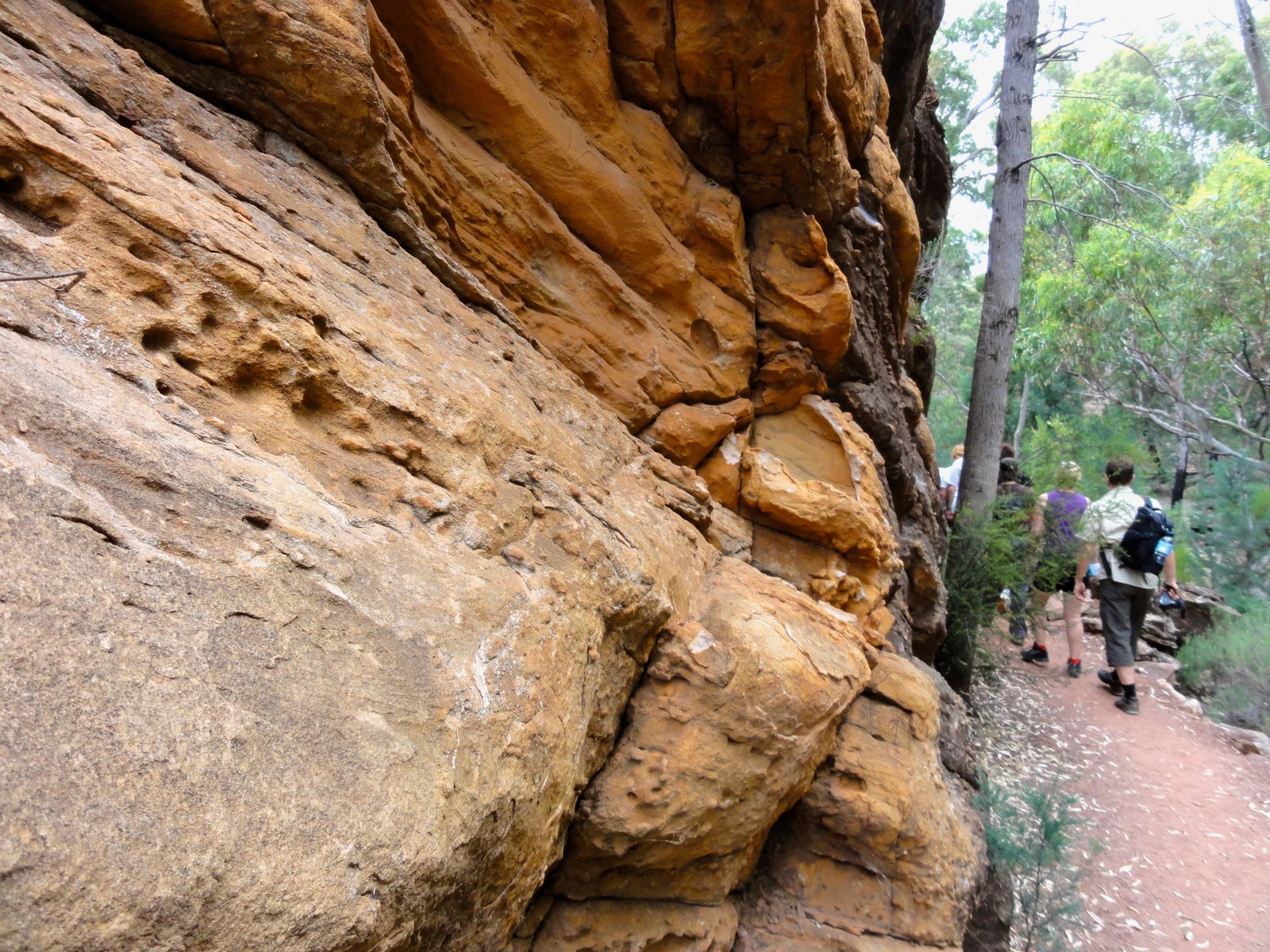 Hike in Australia