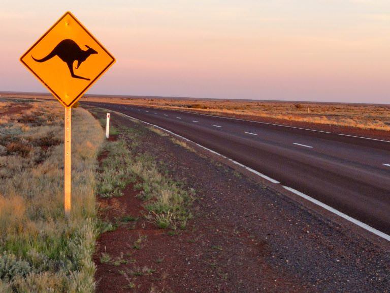 Adelaide to Alice with Adventure Tours - 139
