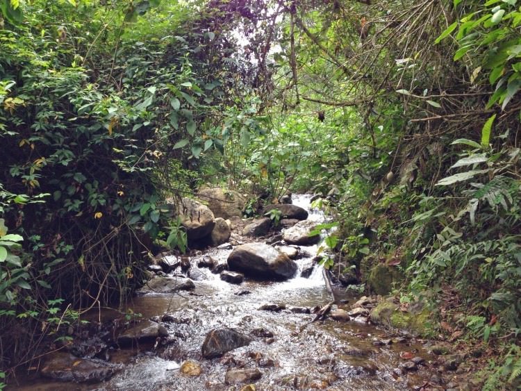 Travel diary: Medellin 3 Hiking in Medellin Colombia