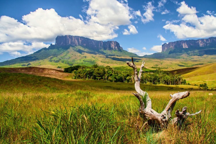 Dollarphotoclub venezuela - Venezuela travel