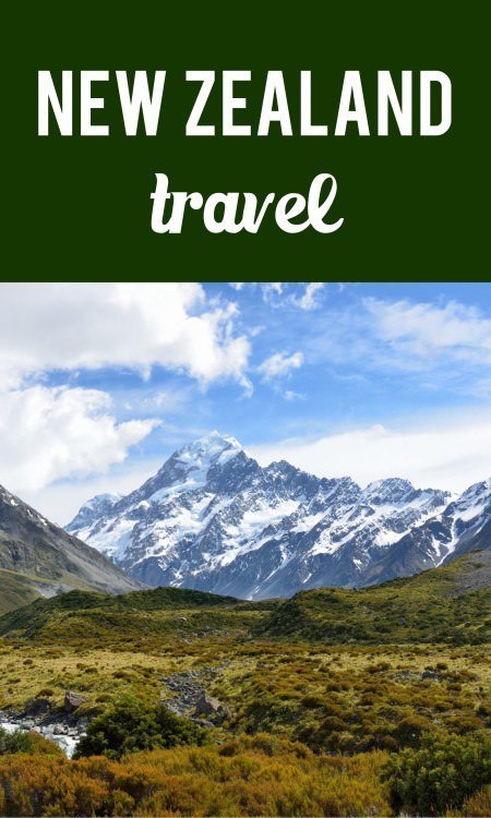 NZ travel pin
