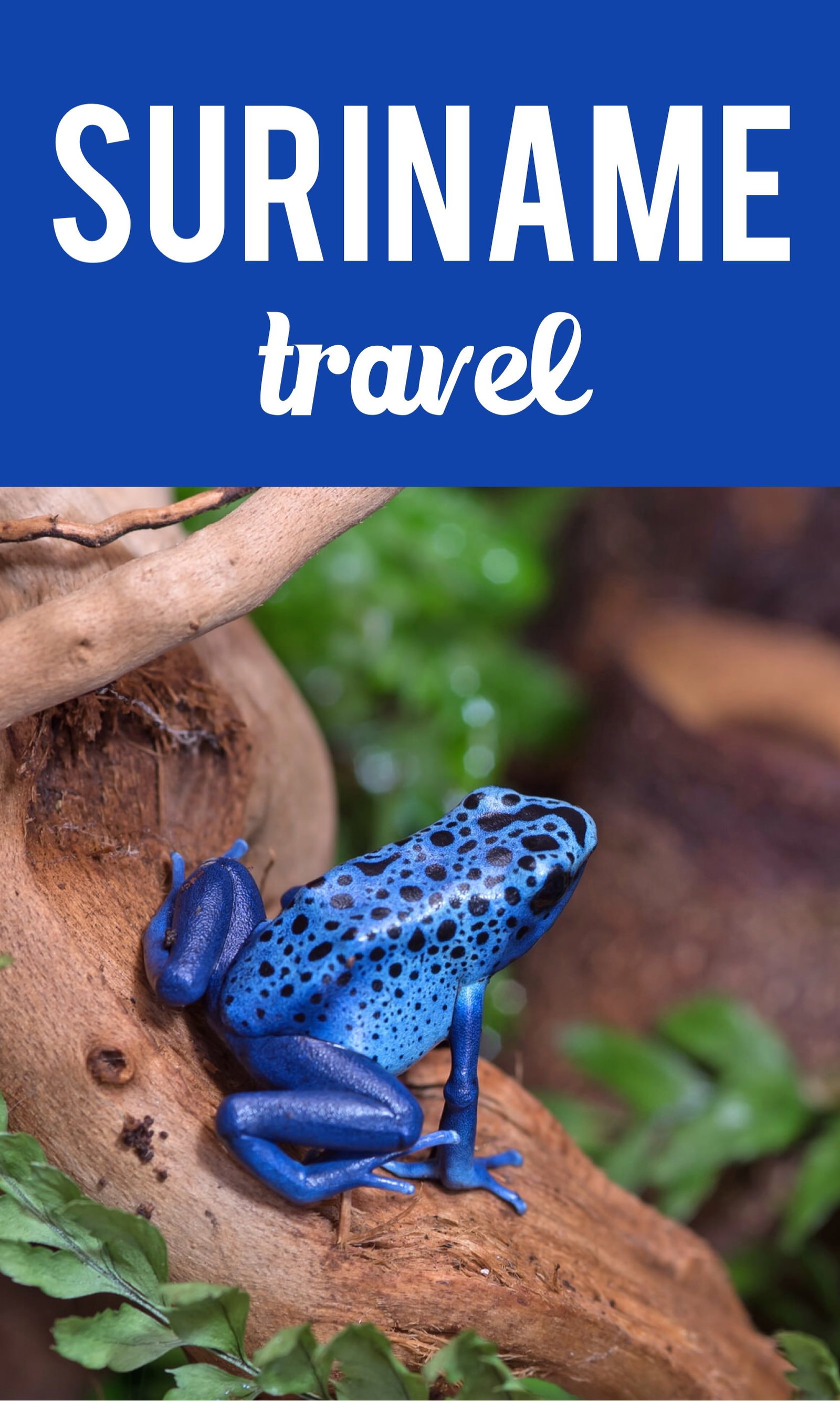 Suriname travel Pinterest pin