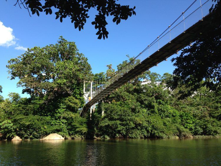 Hiking in Panama is green. 