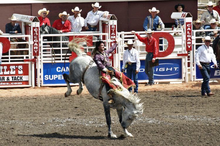 Your guide to the Calgary Stampede 6 Calgary Stampede
