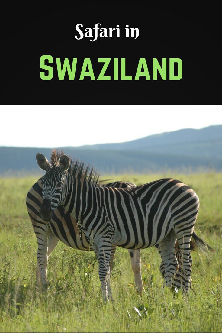 Swaziland: A safari setting like no other 1 Swaziland pin