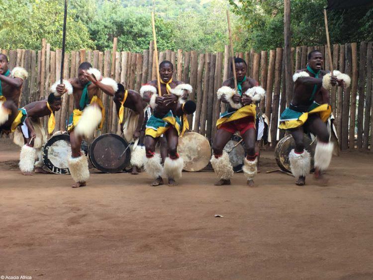Swaziland: A safari setting like no other 4 Traditional dancing in Swaziland, Africa