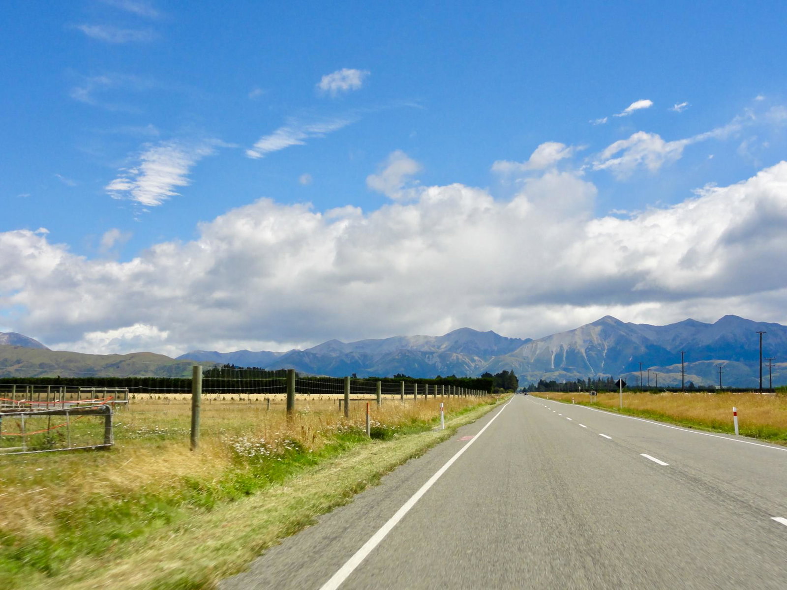 New Zealand road trip