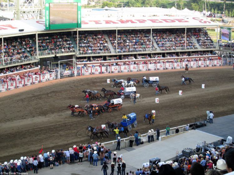 Your guide to the Calgary Stampede 1 Calgary Stampede Races