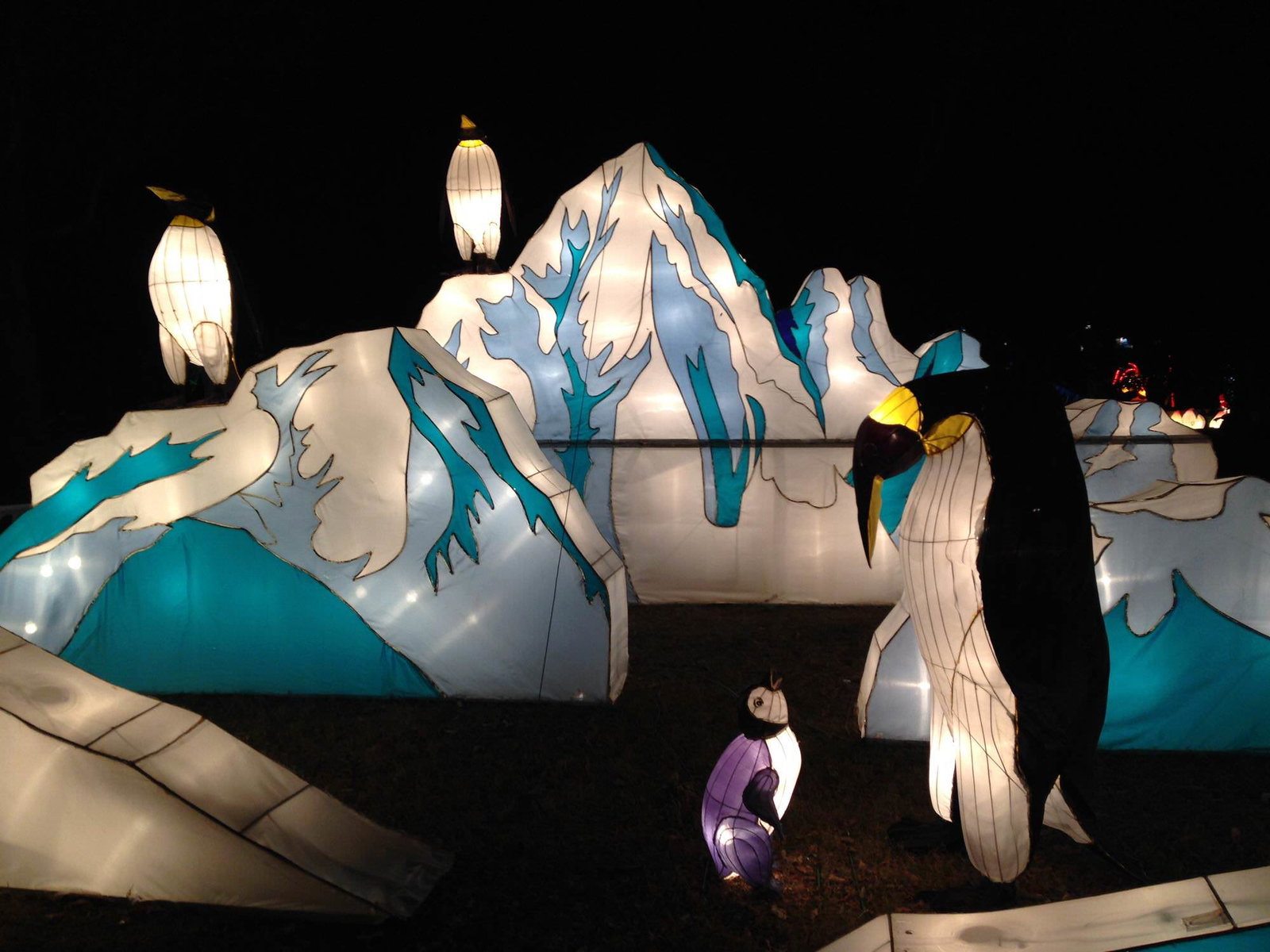 Best summer festivals around the world podcast 6 Auckland Lantern festival at Chinese New Year