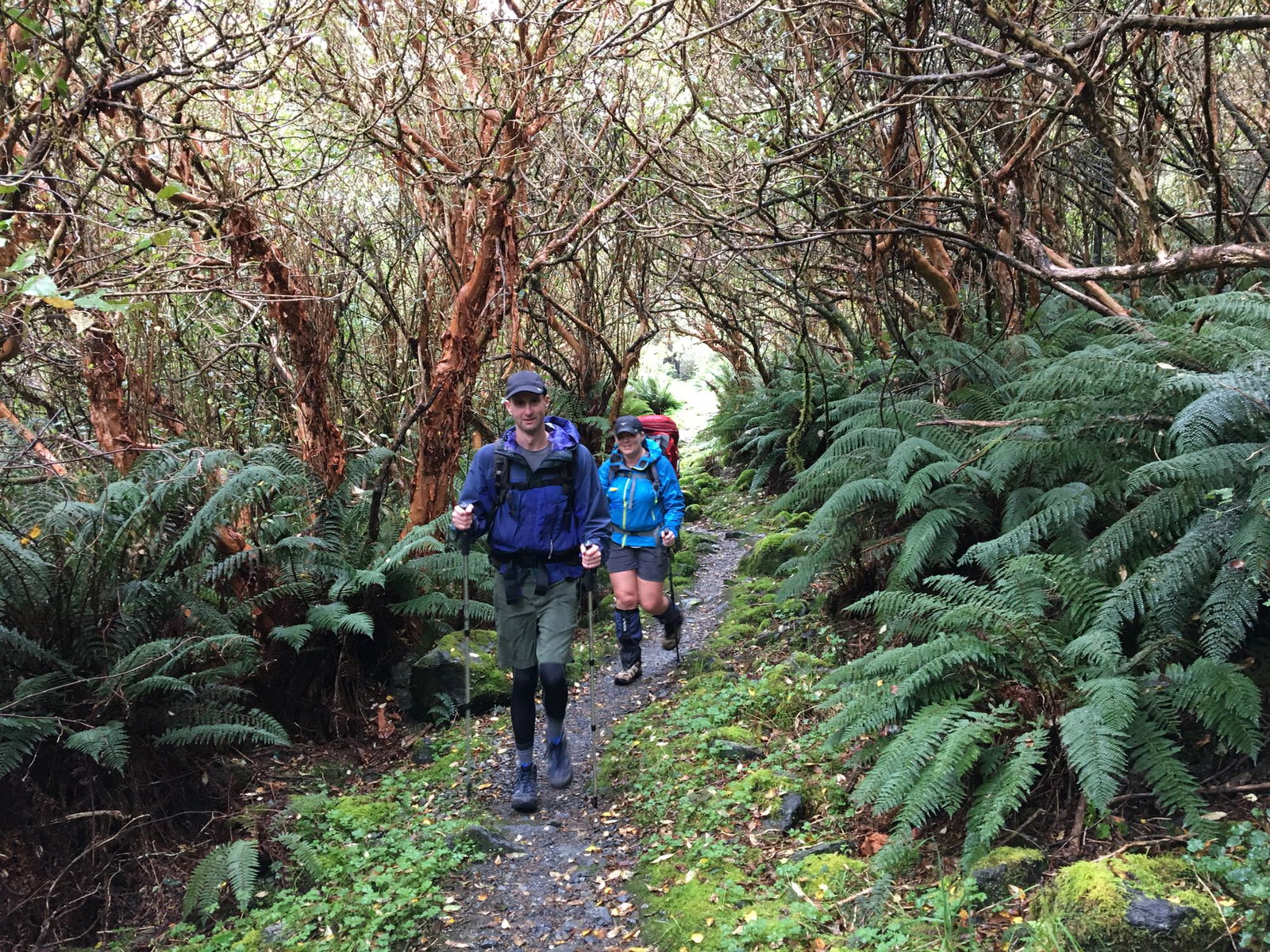 Top 5 things to do in the New Zealand summer podcast 3 Milford Track, New Zealand