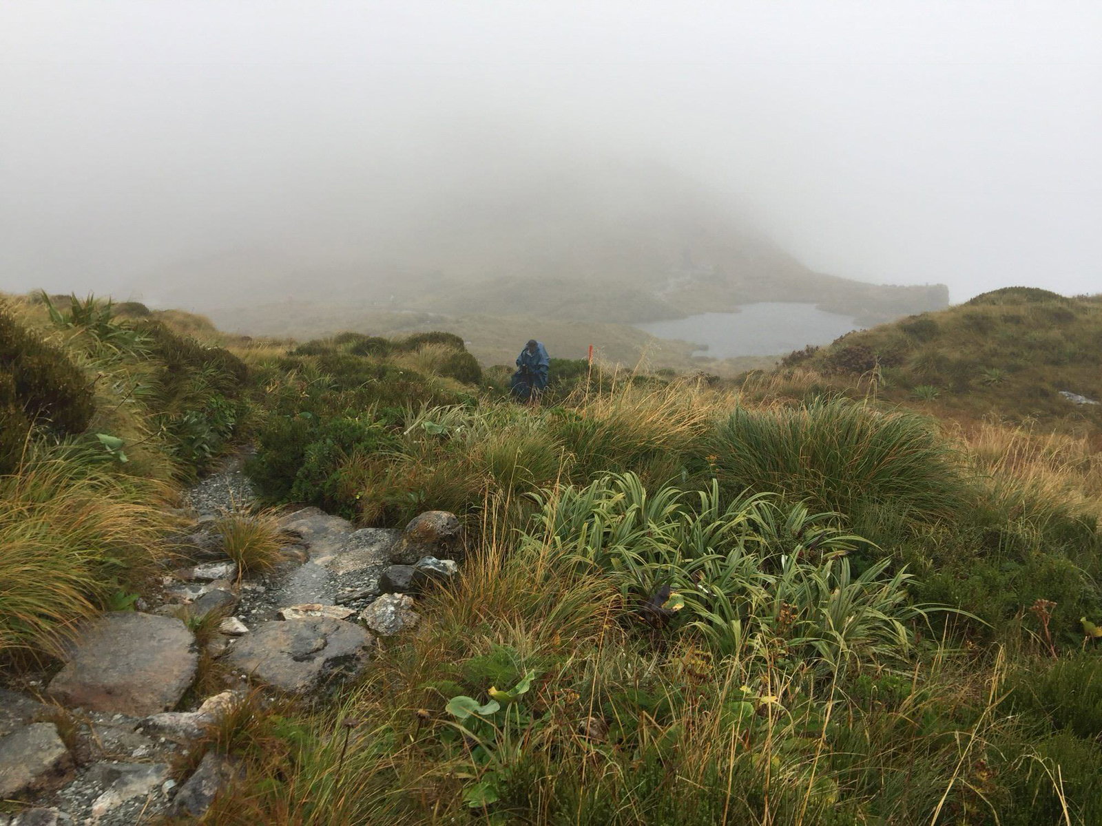 How to prepare for your first solo overnight trek 2 View from the top Milford track
