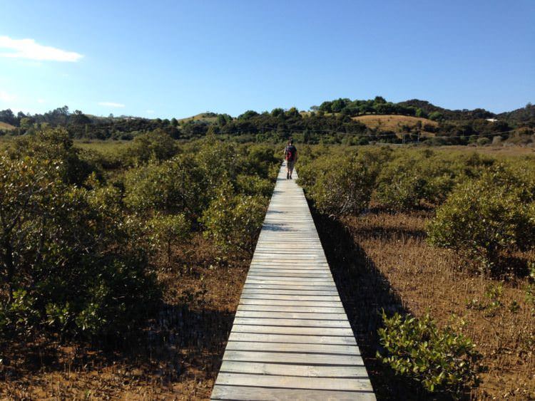Travel diary: Five months in New Zealand 2 Walk in Russell, New Zealand