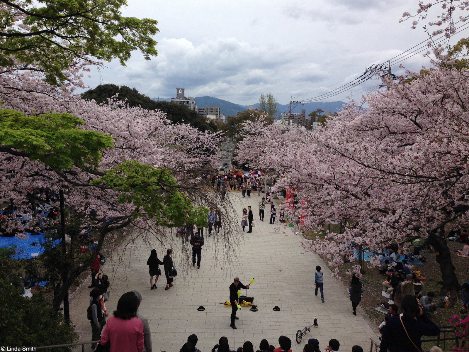 How to celebrate the Cherry Blossom Festival in Japan 4 Street Magic at the Cherry Blossom festival