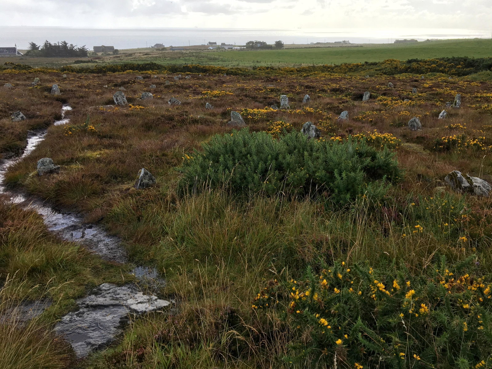 Hill o many stanes Scotland