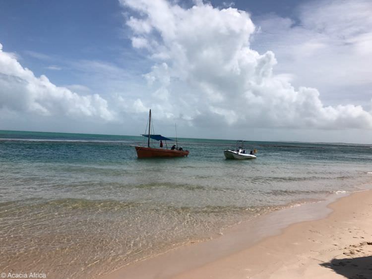 Top 10 things to do near Vilanculos Mozambique 1 Dhow boat in Vilanculos Mozambique