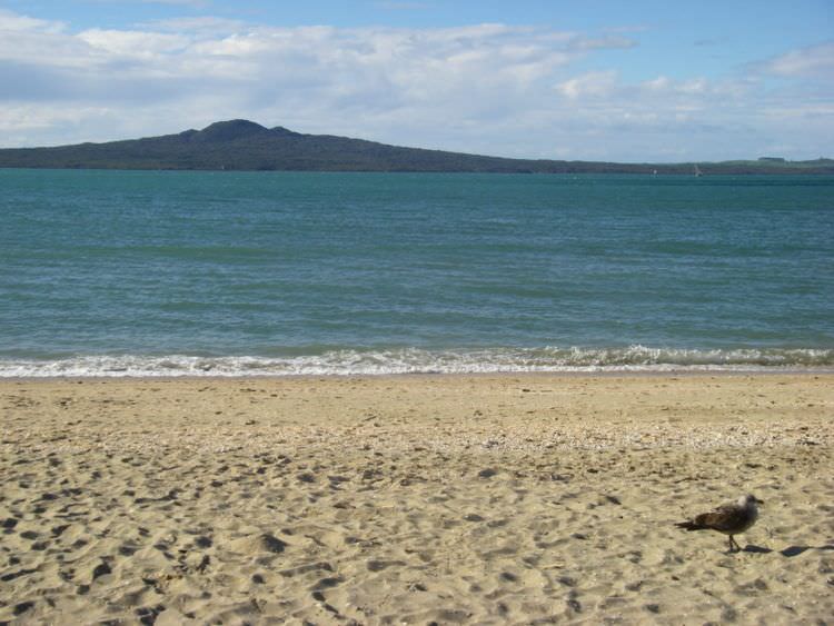 Mission Bay New Zealand
