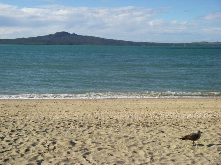 Top 5 New Zealand bays and beaches
