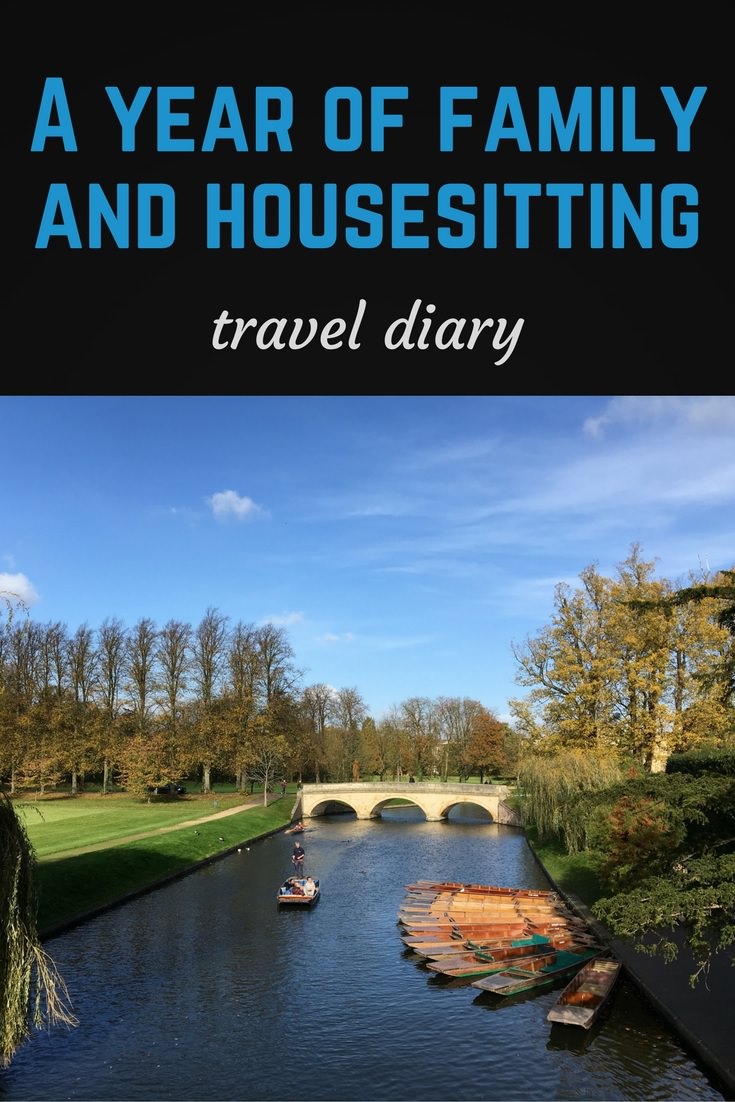 Travel diary pinterest pin
