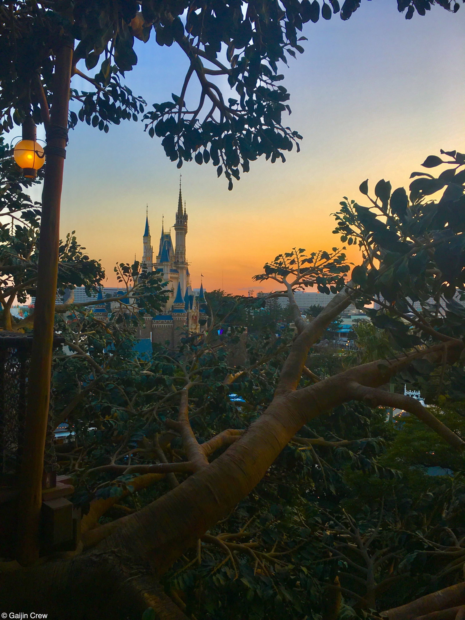 Tokyo Disney