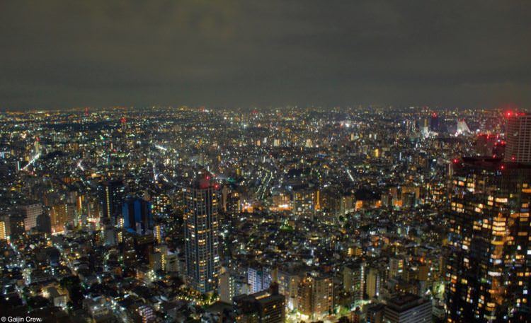 View from Shinjuku Government building - The Ultimate Tokyo City Guide