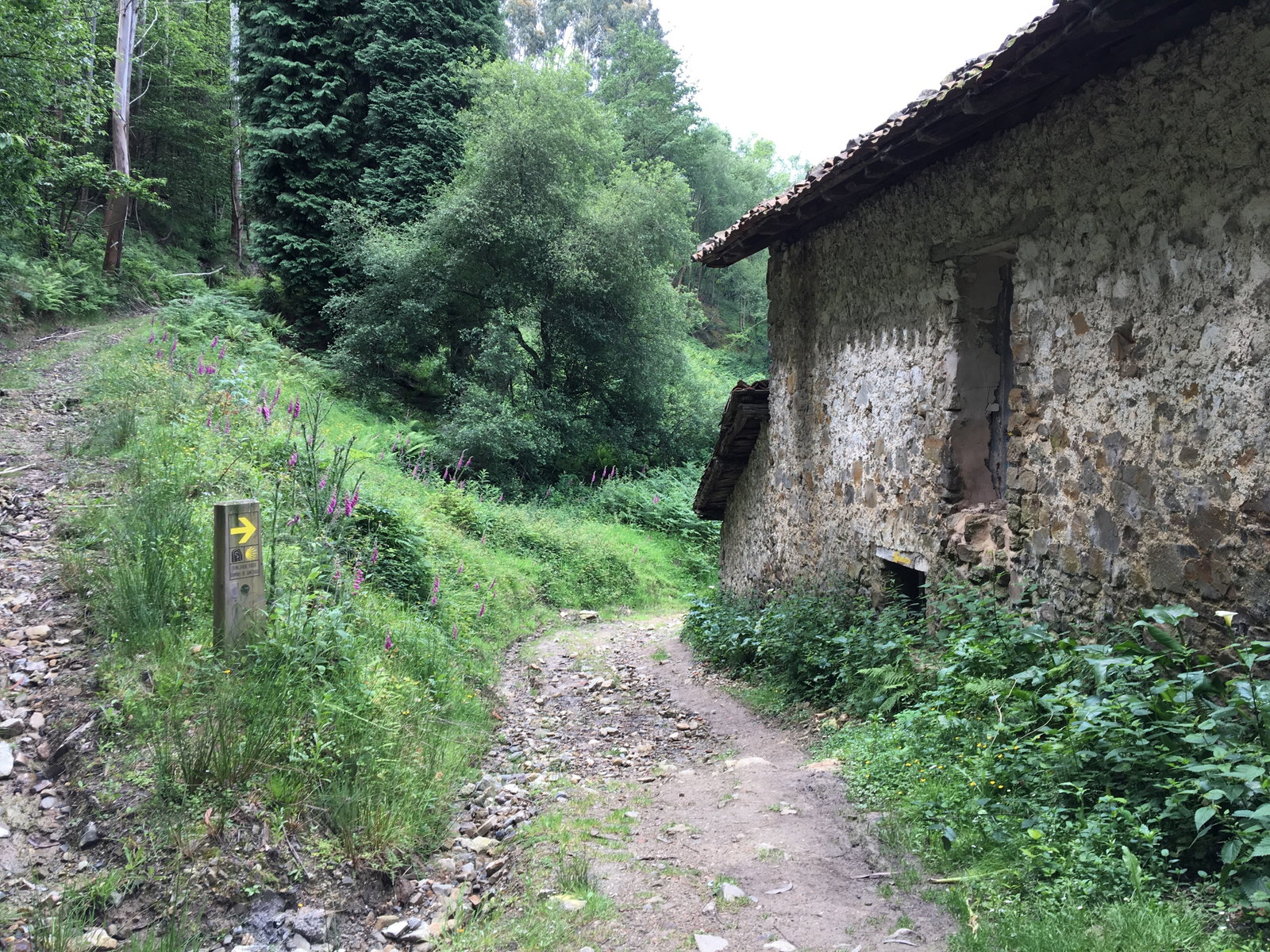 Camino del norte